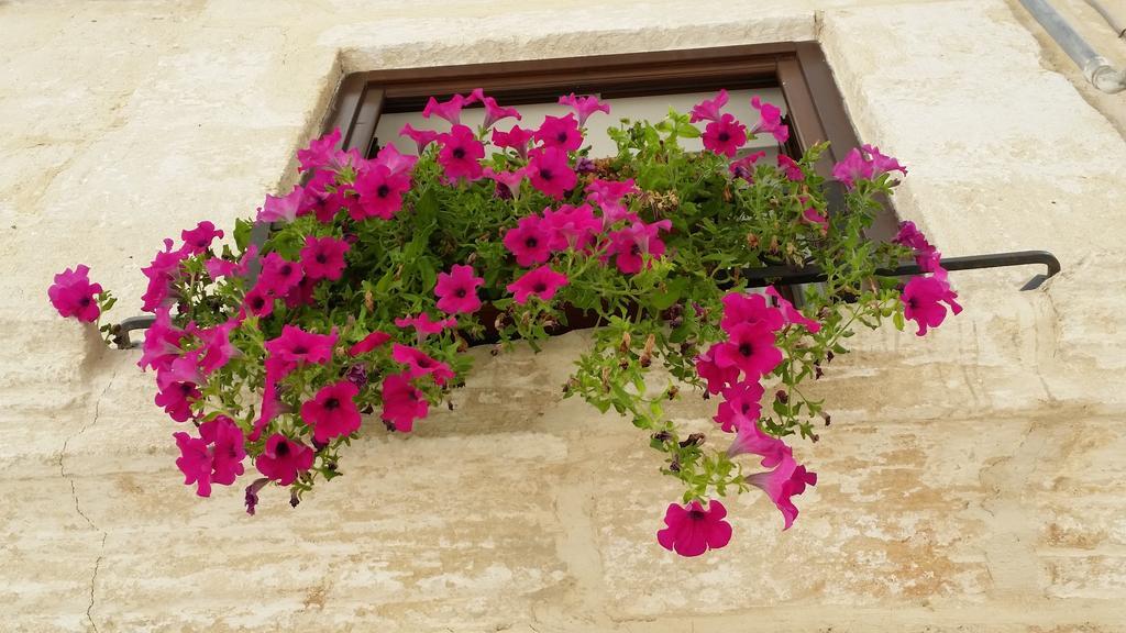 Apartamento Borgo Antico Monopoli Exterior foto